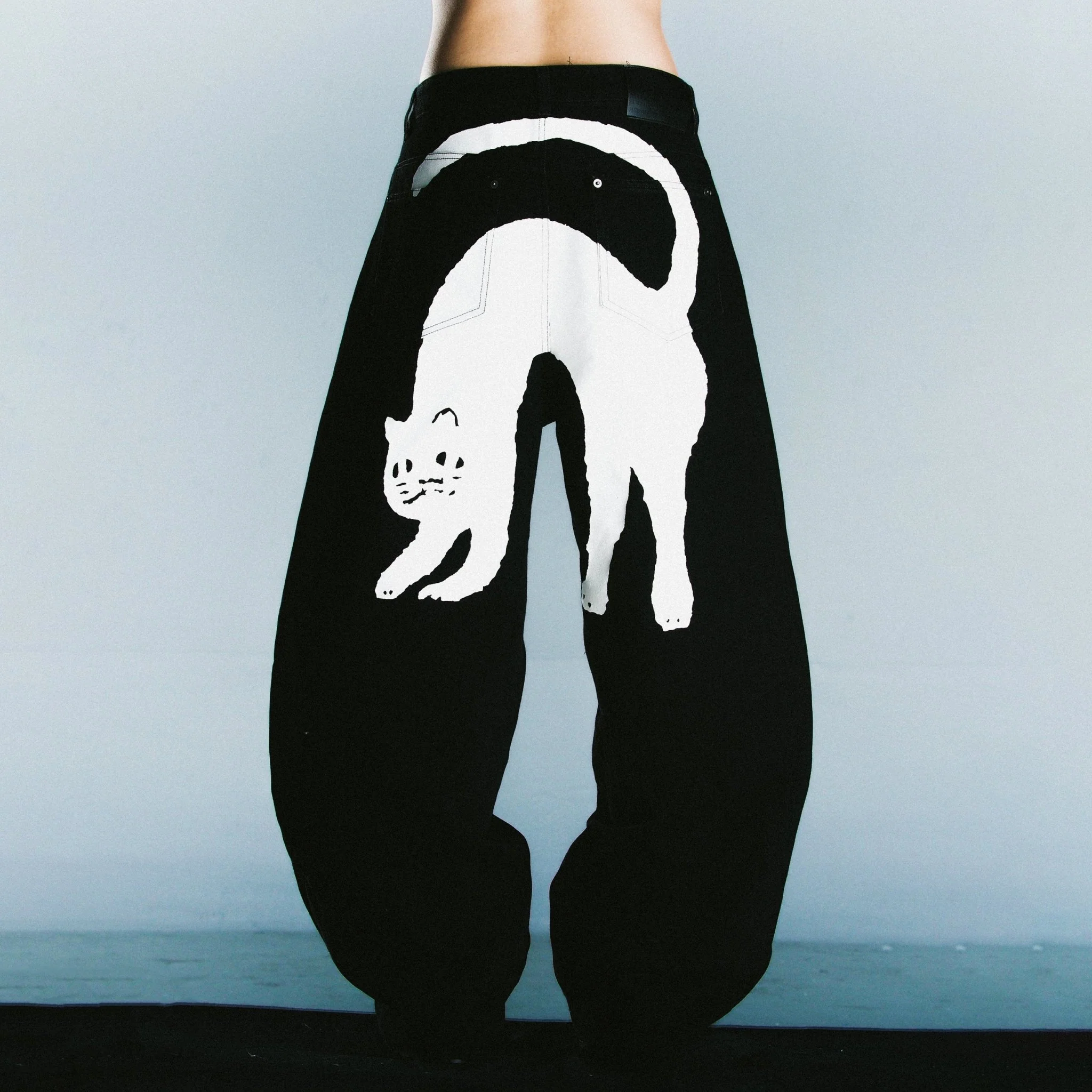 Catvisu Jeans 3.0 - Image 5